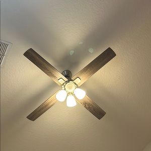 Meet your Posher, Wren